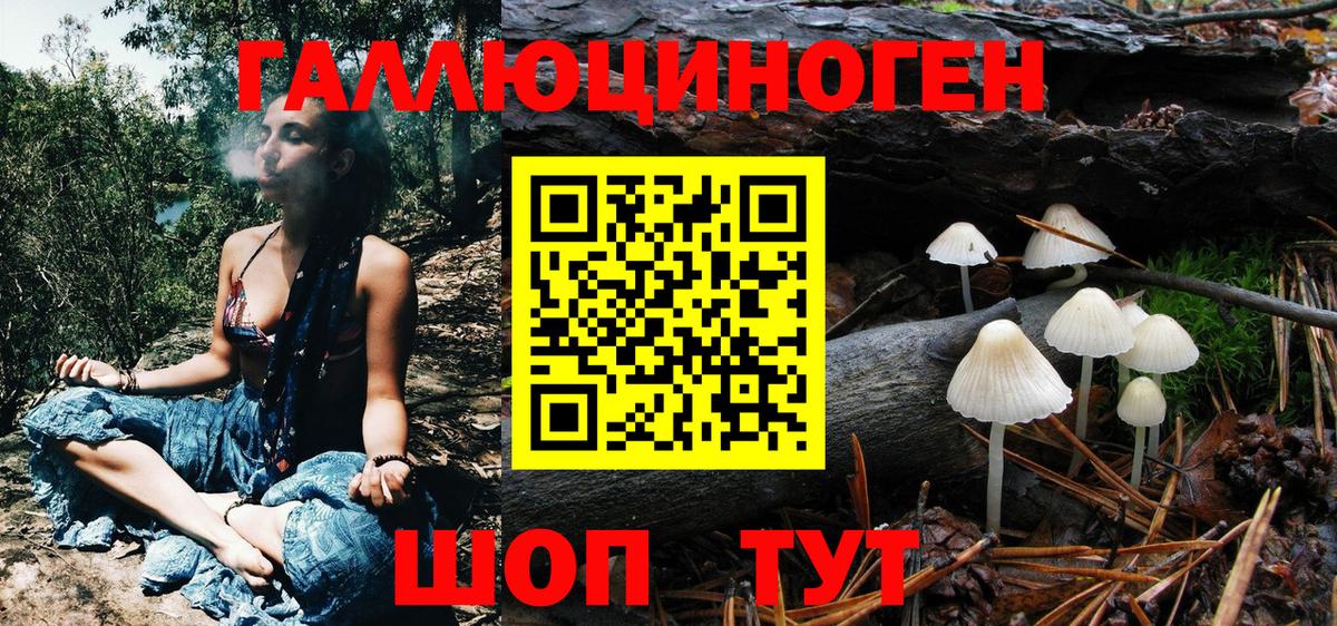 Псилоцибиновые грибы Psilocybine cubensis  Галлюциногенные грибы Psilocybe  Горно-Алтайск  Вход с VPN 